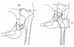 planning-preoperatorio